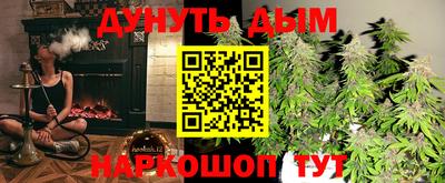 гидра Краснознаменск