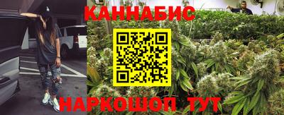 гидра Краснознаменск